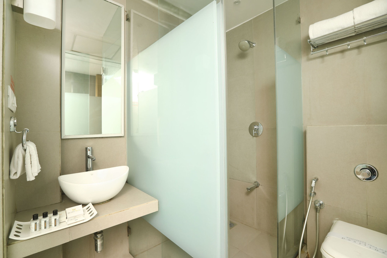 Bathroom 5, Mumbai Metro - The Executive Hotel, Mumbai Suburban