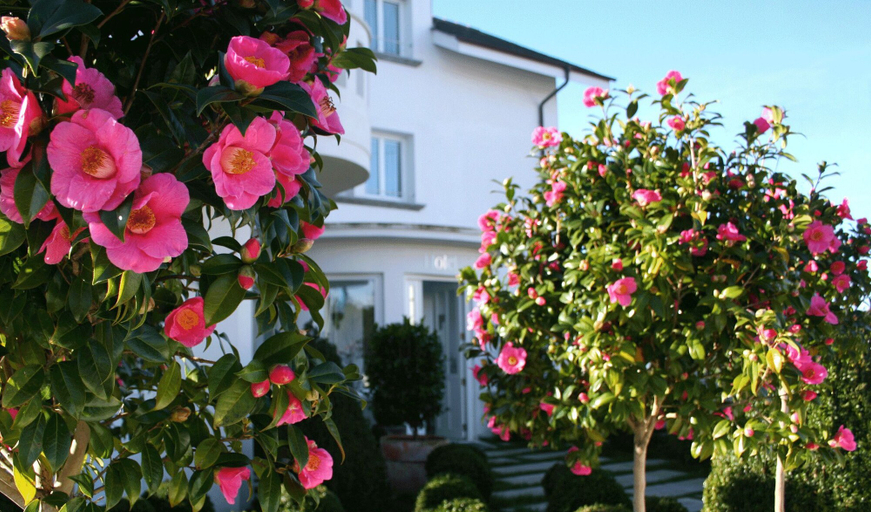 Exterior & Views 2, La Casa de Las Camelias, Asturias