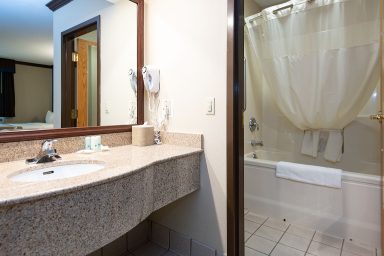Bathroom 4, Quality Inn & Suites Quakertown - Allentown, Bucks