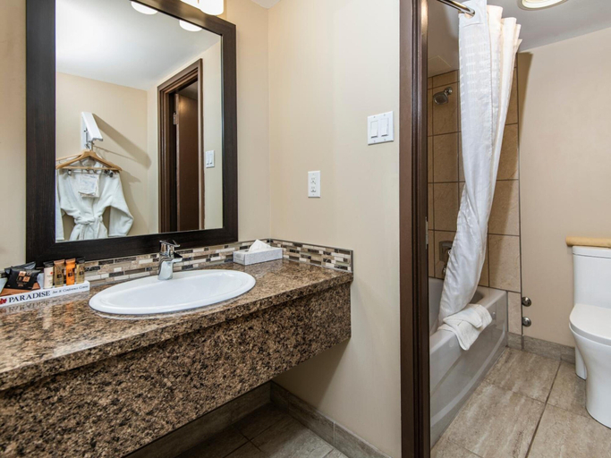 Bathroom 3, Paradise Inn & Conference Centre, Division No. 19