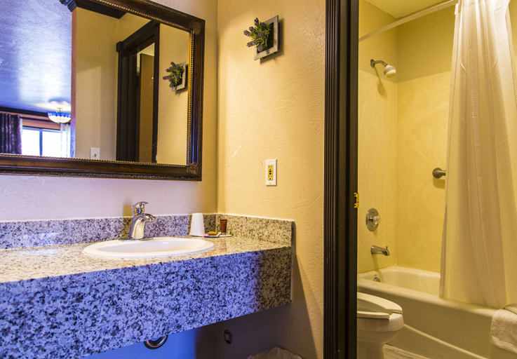 Bathroom 5, Mountain View Lodge, Iron