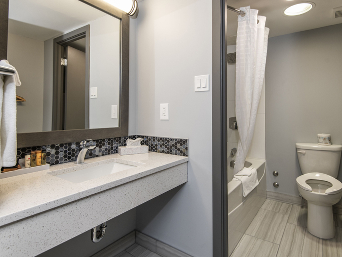 Bathroom 3, Paradise Inn & Conference Centre, Division No. 19