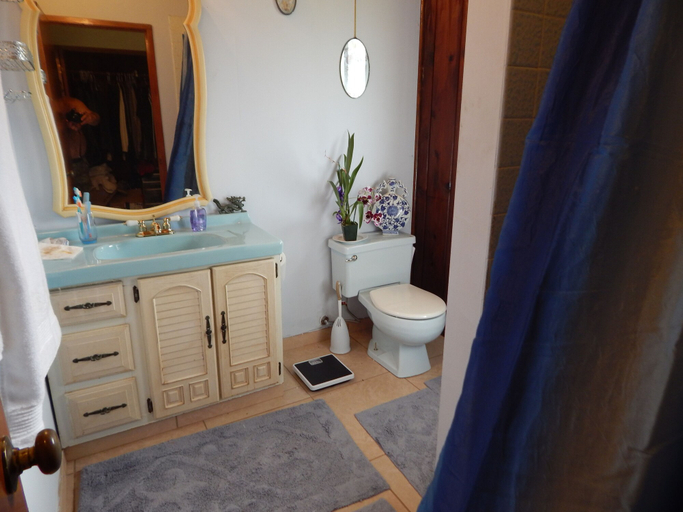 Bathroom 4, Fern Forest Getaway, Hawaii
