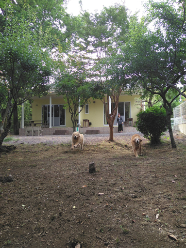 Guests & Dogs House Hale Ilio, Itō