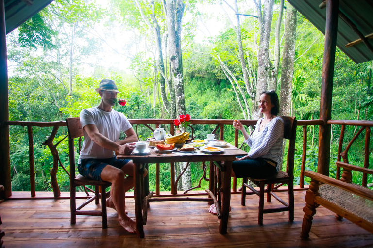 Others 5, Ella Eco Lodge, Ella