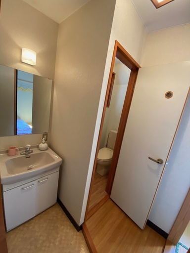 Bathroom 4, Nozawa Dream Central, Nozawaonsen