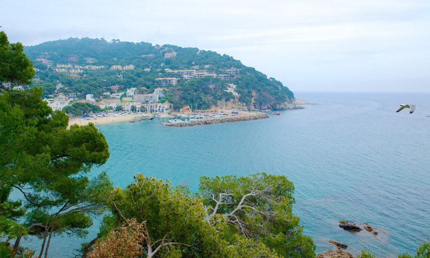Others 4, Apartment in Llafranc - 104748 by MO Rentals, Girona