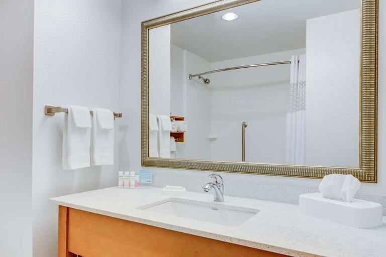 Bathroom 5, Hampton Inn & Suites Manchester, Coffee