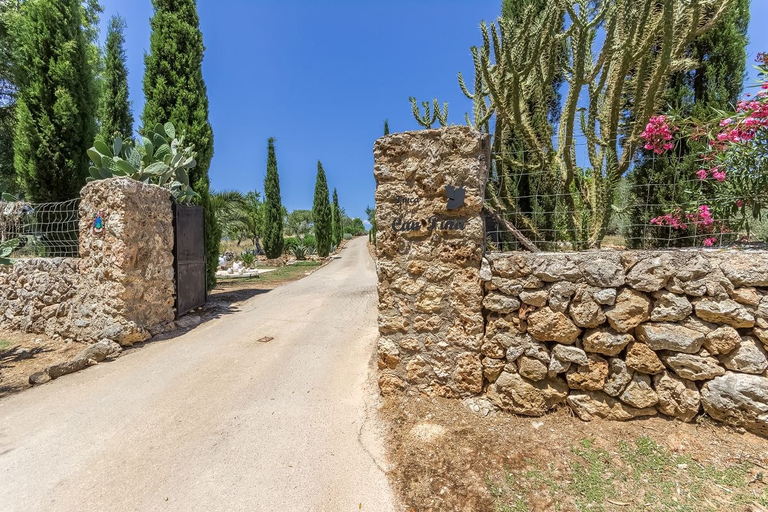 Others 5, Casa Pina, Baleares