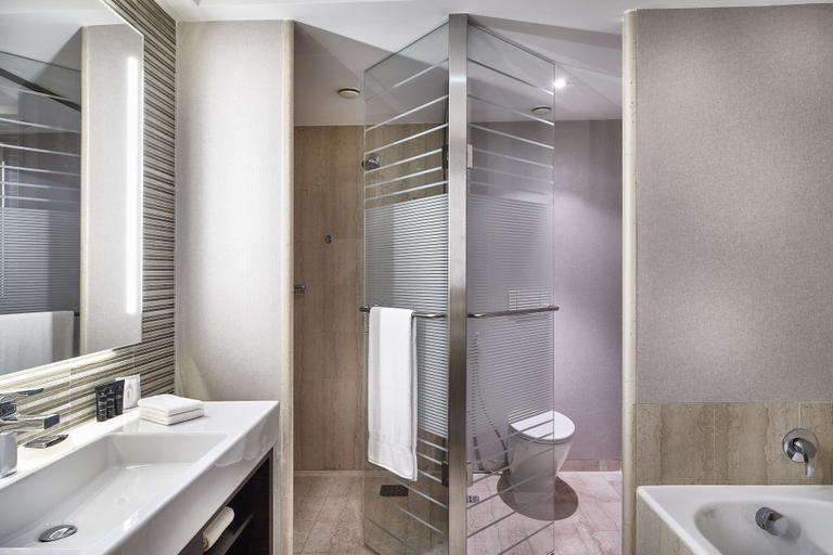 Bathroom 5, Hilton Sao Paulo Morumbi, São Paulo