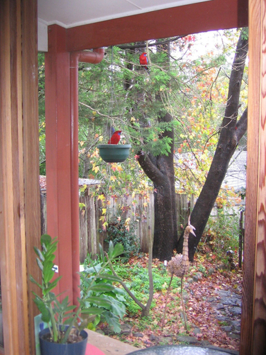 Others 5, Bowral Road Bed and Breakfast, Wingecarribee