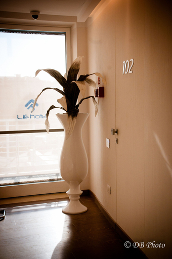 Bathroom 4, Life Hotel, Macerata