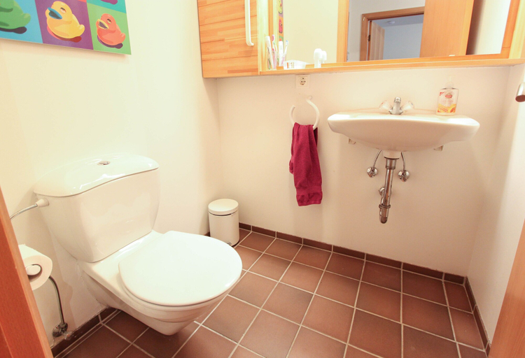 Bathroom 4, Apartment S31, Reykjavík