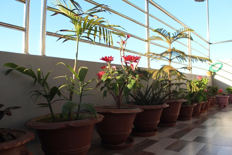 Others 4, Natures Treat Homestay, Lumbini