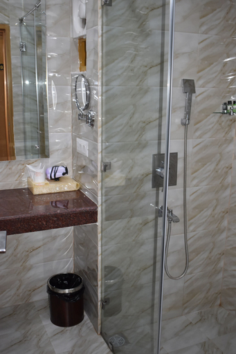 Bathroom 5, Hotel Anand International, Gaya