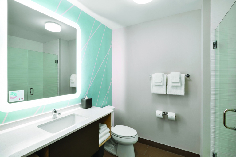 Bathroom 3, avid hotel SIOUX CITY - DOWNTOWN by IHG, Woodbury