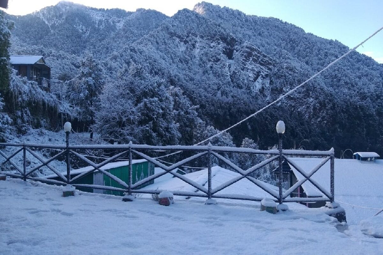 Others 4, Camp Mehi Nature Resort, Nainital