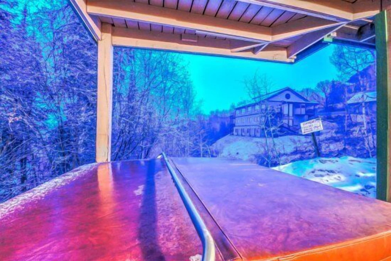 Sport & Beauty 5, Ski Trail Chalet, Routt