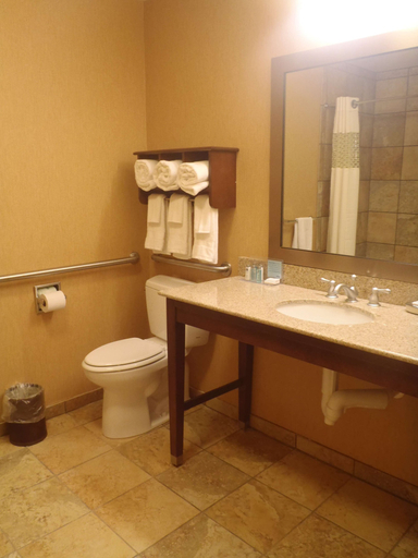 Bathroom 4, Hampton Inn & Suites Wiggins, Stone