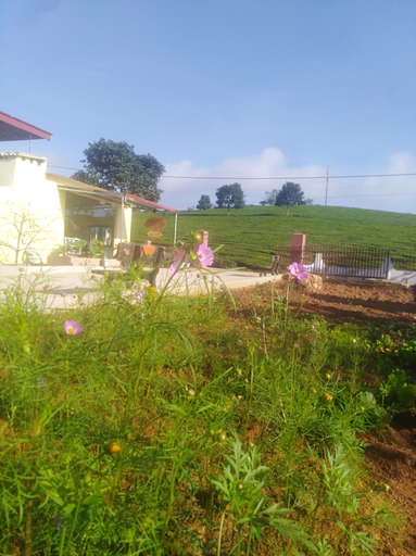 Exterior & Views 2, Homestay Lang Che 69, Mộc Châu