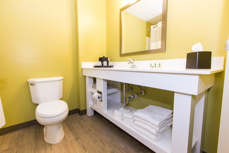 Bathroom 4, Cedar Point's Express Hotel, Erie