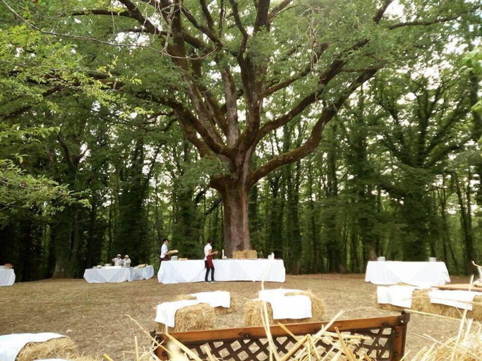 Food & Drinks 5, Agriturismo Natura e Salute, Siena