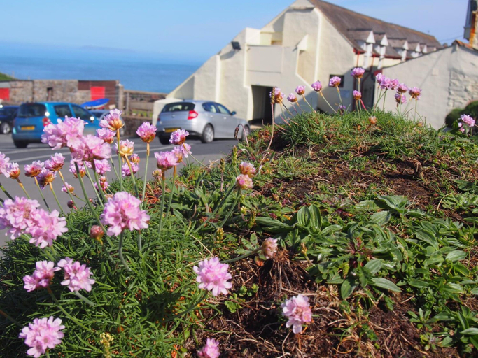 Exterior & Views 2, Hartland Quay Hotel, Devon