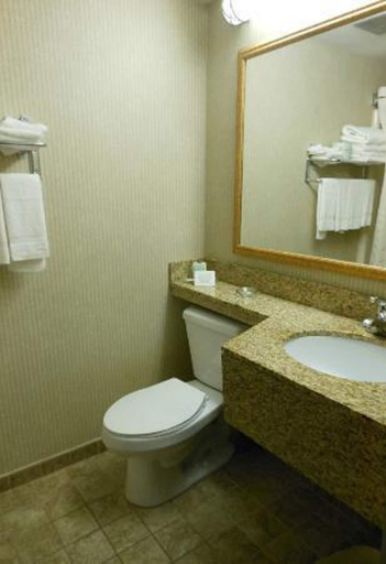Bathroom, Rodeway Inn Mercer I-80, Mercer