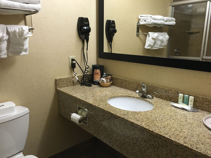 Bathroom 3, Comfort Inn Jackson I-40, Madison