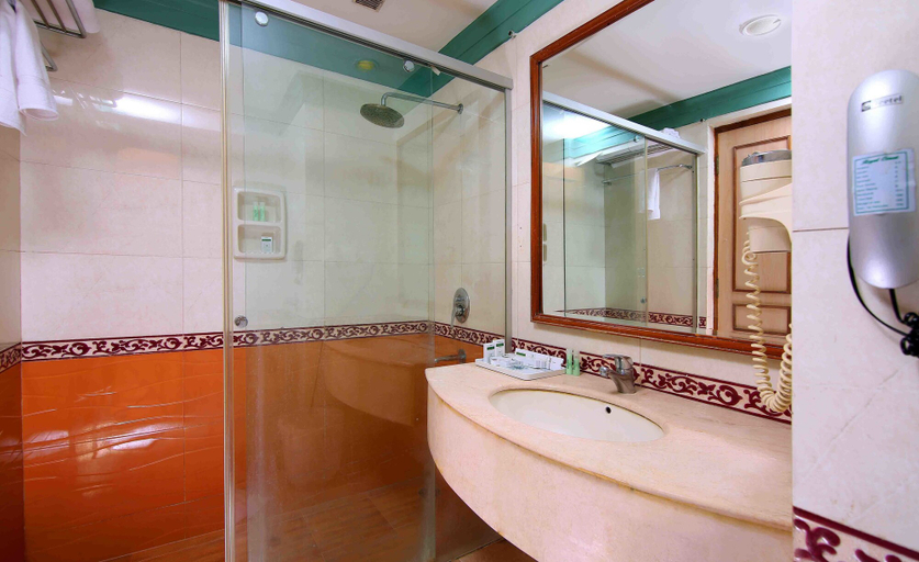 Bathroom 4, Royal Court, Madurai