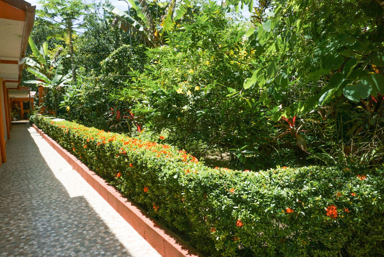 Others 5, Hotel La Dolce Vita, Parrita