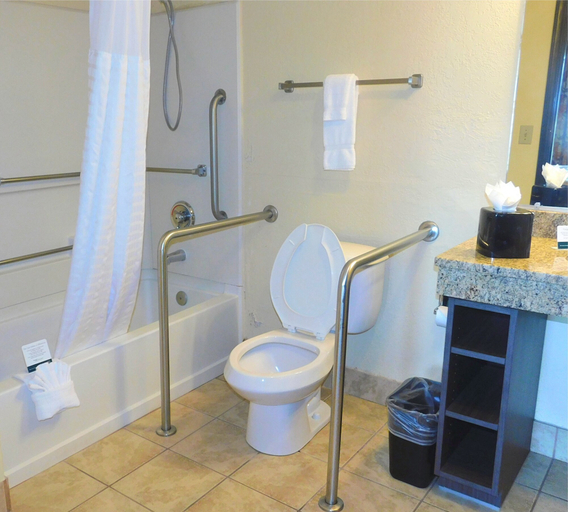 Bathroom 4, Quality Inn Jonesville I-77, Yadkin