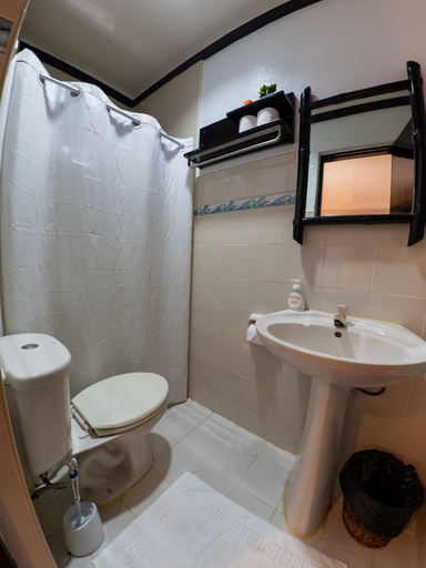 Bathroom 4, Hippocampus, Daanbantayan