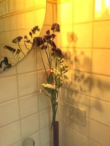 Bathroom 5, Affittacamere Mariuccia, Siena