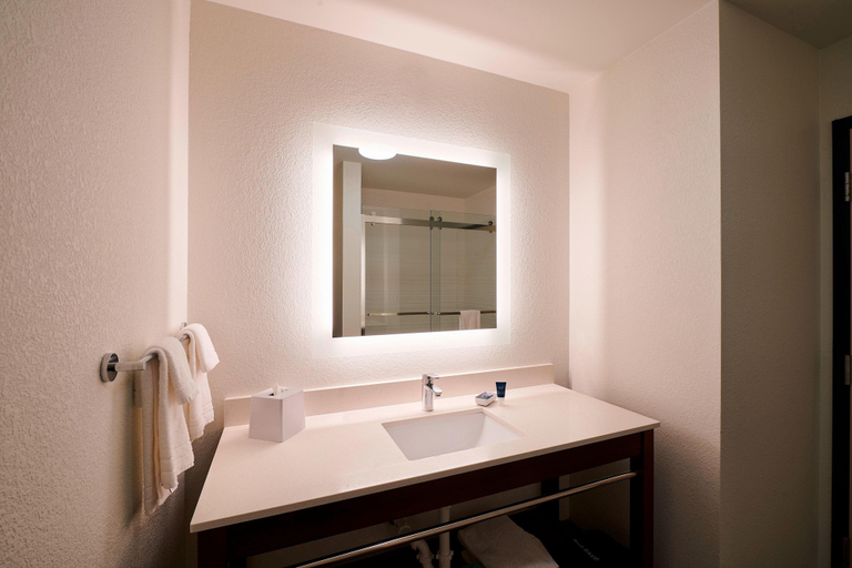 Bathroom 4, Four Points by Sheraton Cleveland-Eastlake, Lake
