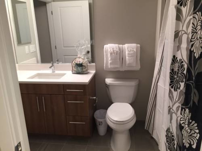 Bathroom, BridgeStreet at The Bartlett, Arlington