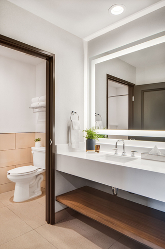 Bathroom 4, Ayres Hotel Vista Carlsbad, San Diego