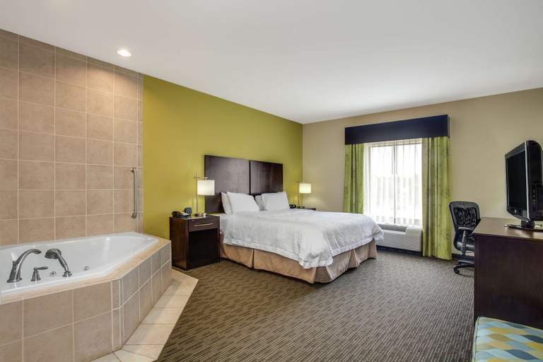 Bedroom 3, Hampton Inn Ozark, Dale