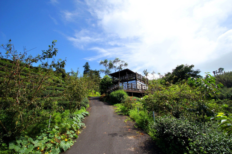 Exterior & Views 2, Xu Jia Chayuan B&B, Chiayi County