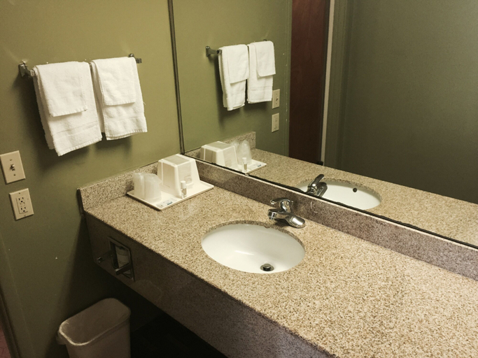 Bathroom 5, Rodeway Inn Bonifay, Holmes