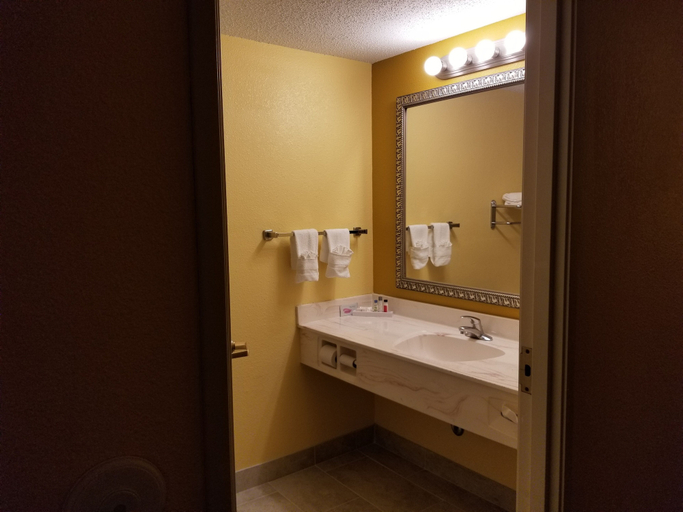 Bathroom 5, The Comstock Inn and Conference Center, Shiawassee