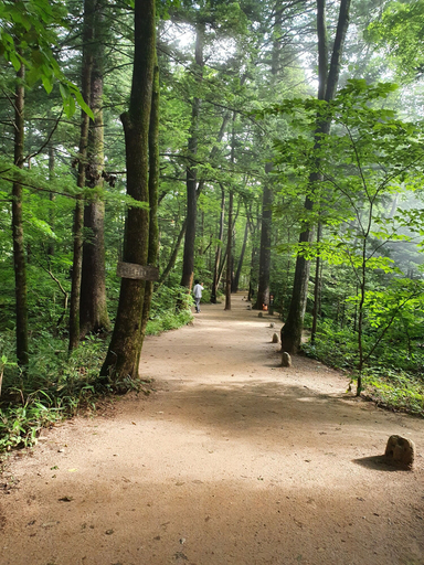 Others 4, Odae Mountain Golden Light Pension, Pyeongchang