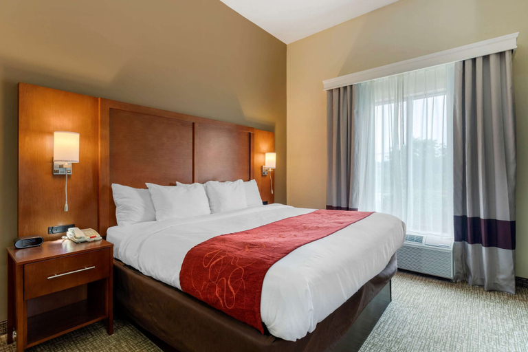 Bedroom 3, Comfort Suites Kingsport South, Sullivan
