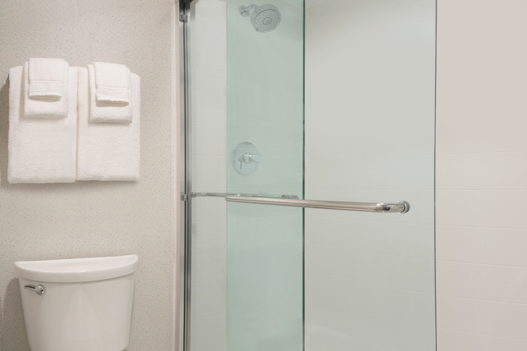 Bathroom 5, Holiday Inn Express PLATTSBURGH by IHG, Clinton