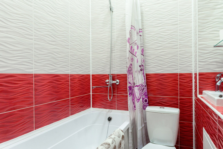 Bathroom 4, Apartment on Moskovsky 183-185, Sankt-Peterburg gorsovet