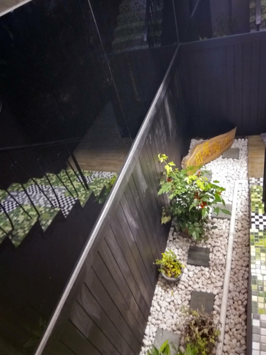 Others 4, DF Park Space Hostel, Hualien