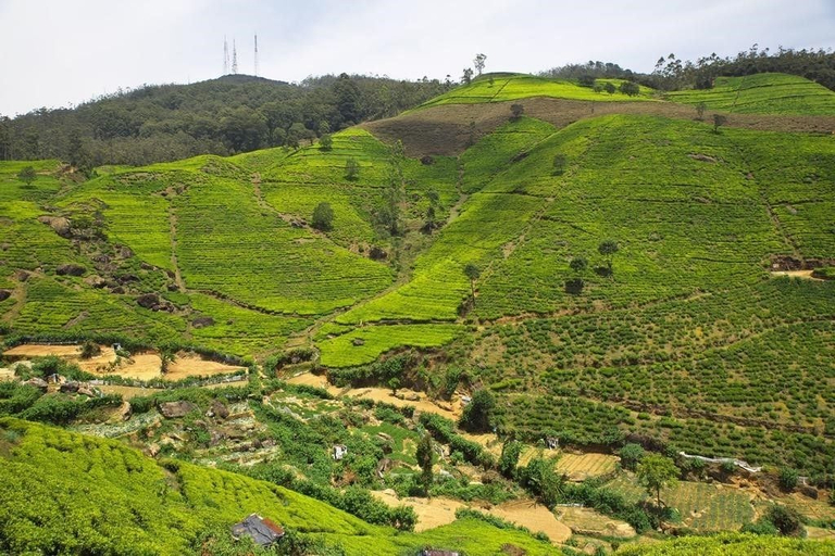 Others 2, G5 Apartment, Nuwara Eliya
