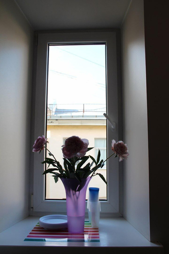 Others 5, Hotel Pastel on Vosstania 1, Sankt-Peterburg gorsovet