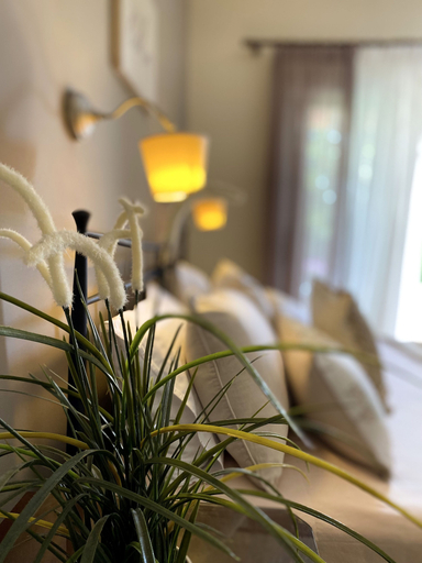 Bedroom 3, Kaloudis Apartments & Studios, Ionian Islands