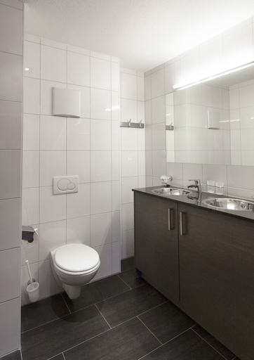 Bathroom 4, Appart Laijola, Bludenz